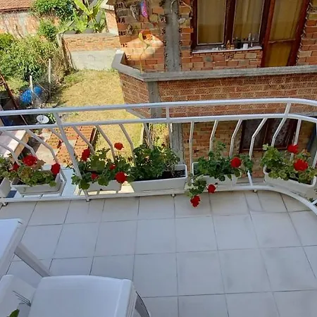 Гостьовий будинок Flora *