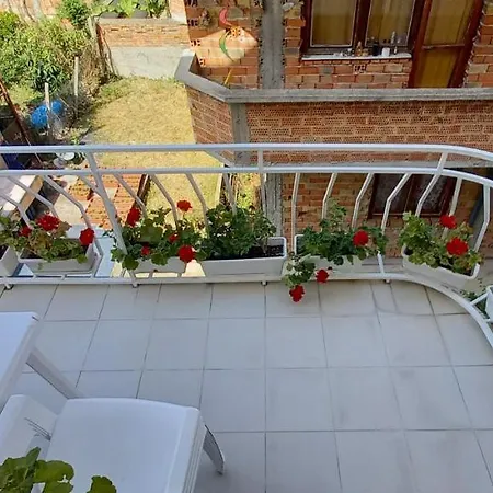 Flora Πανσιόν 3*