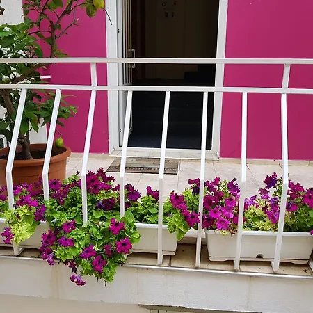 Flora Πανσιόν 3*